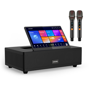 InAndOn 6IN1 Karaoke Soundbar System